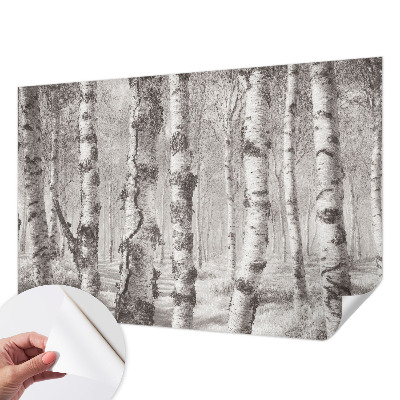 3D fotobehang Berkenbos