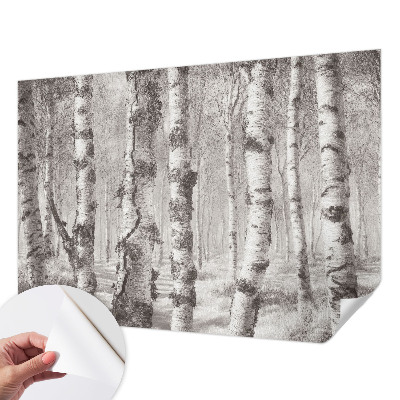 3D fotobehang Berkenbos