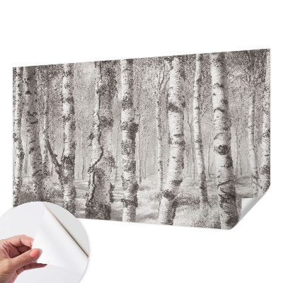 3D fotobehang Berkenbos