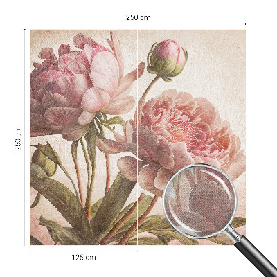 3D fotobehang Delicate pioenrozen