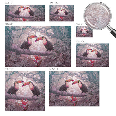 Fotobehang kinderkamer Exotisch stel