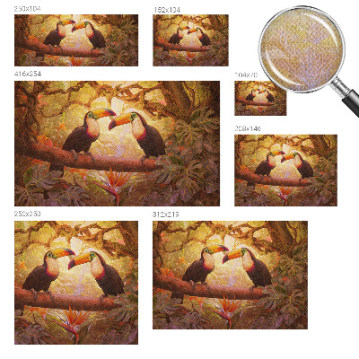 Fotobehang voor kinderkamer Kleurrijke toekans