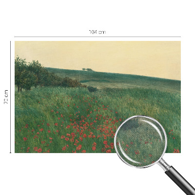 Fotobehang zelfklevend Papavervelden