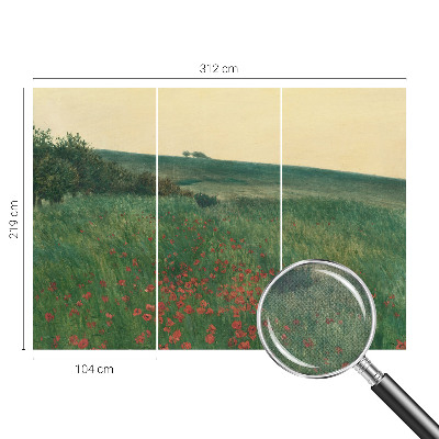 Fotobehang zelfklevend Papavervelden