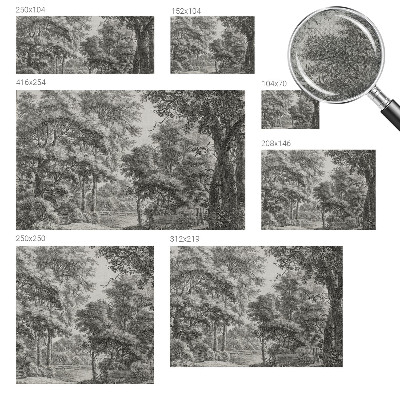 Fotobehang voor de kinderkamer Boslandschap