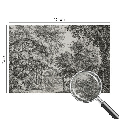 Fotobehang voor de kinderkamer Boslandschap