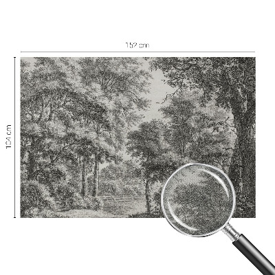 Fotobehang voor de kinderkamer Boslandschap