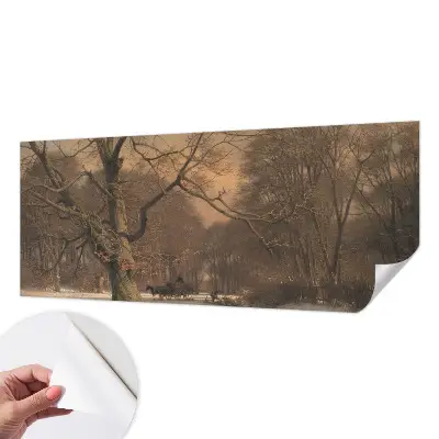 3D fotobehang met een winterlandschap