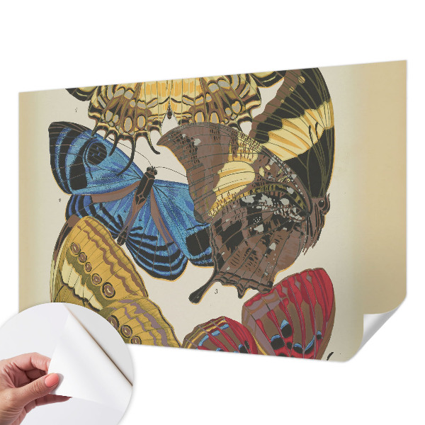 Fotobehang tienerkamer Vlinders als inspiratiebron