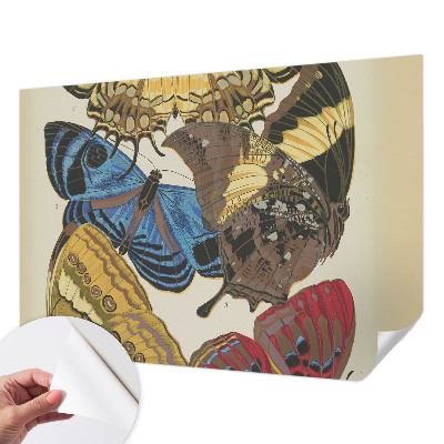 Fotobehang tienerkamer Vlinders als inspiratiebron