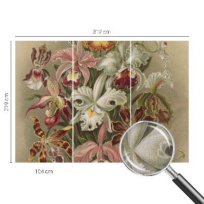 Foto behang voor de keuken Bloemige elegantie