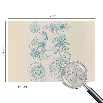 Zelfklevend fotobehang Zeekwal