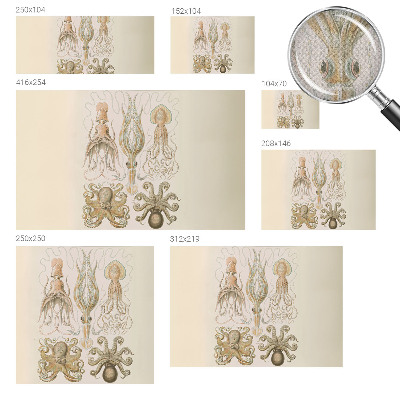 Zelfklevend fotobehang op maat Zeeleven