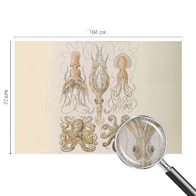 Zelfklevend fotobehang op maat Zeeleven