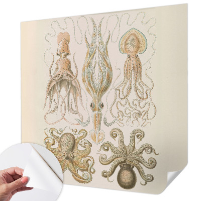 Zelfklevend fotobehang op maat Zeeleven