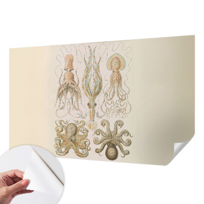 Zelfklevend fotobehang op maat Zeeleven