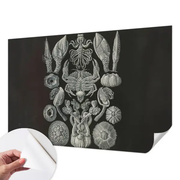 Zelfklevende behangsticker met onderwaterfiguren