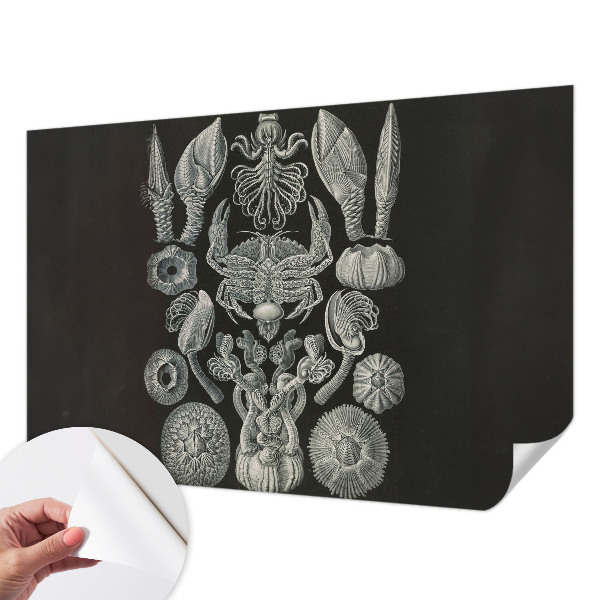 Zelfklevende behangsticker Onderwatervormen