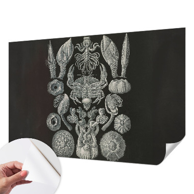 Zelfklevende behangsticker met onderwaterfiguren