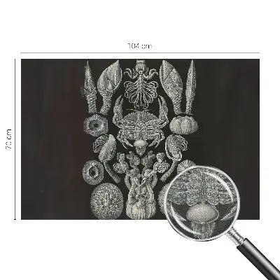 Zelfklevende behangsticker met onderwaterfiguren
