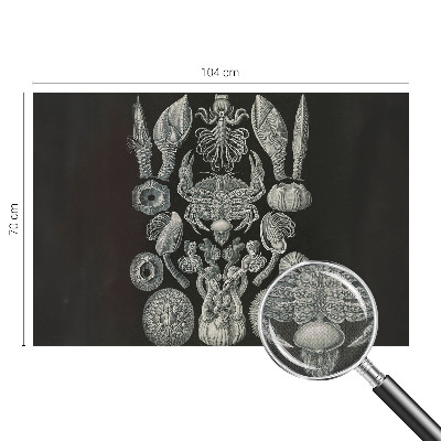 Zelfklevende behangsticker Onderwatervormen