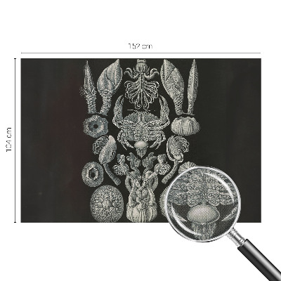 Zelfklevende behangsticker Onderwatervormen