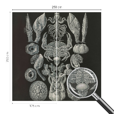 Zelfklevende behangsticker Onderwatervormen