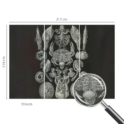 Zelfklevende behangsticker met onderwaterfiguren