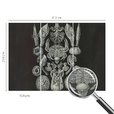 Zelfklevende behangsticker Onderwatervormen