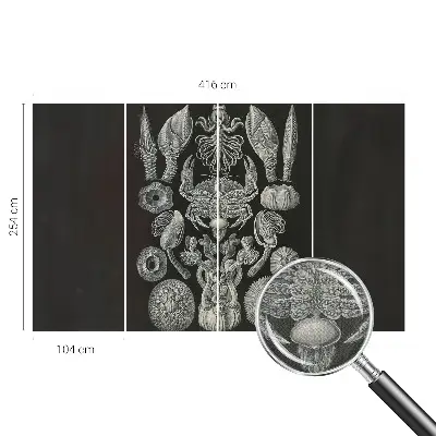 Zelfklevende behangsticker met onderwaterfiguren