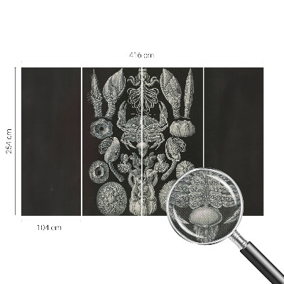 Zelfklevende behangsticker Onderwatervormen