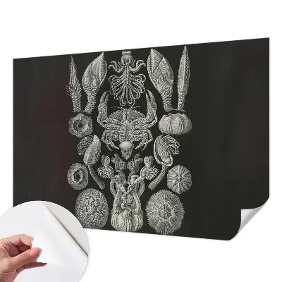 Zelfklevende behangsticker met onderwaterfiguren