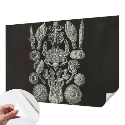Zelfklevende behangsticker met onderwaterfiguren