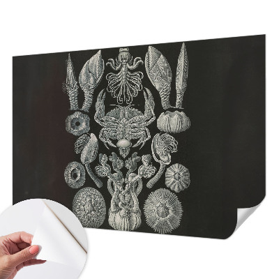 Zelfklevende behangsticker Onderwatervormen