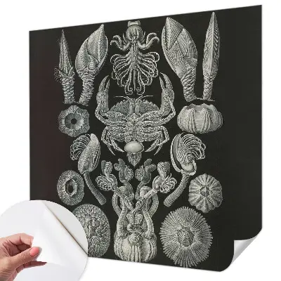 Zelfklevende behangsticker met onderwaterfiguren