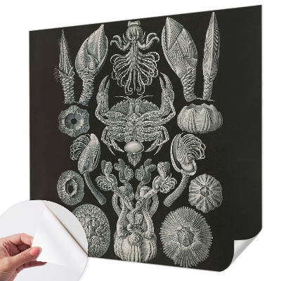 Zelfklevende behangsticker Onderwatervormen