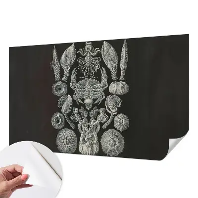 Zelfklevende behangsticker met onderwaterfiguren