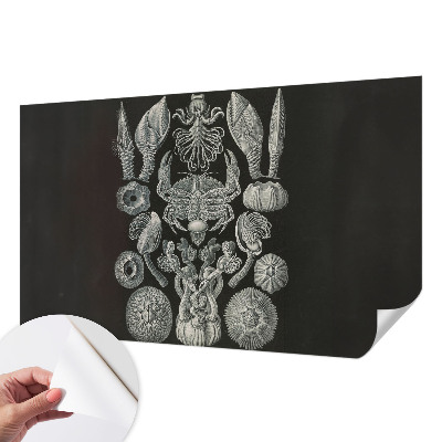 Zelfklevende behangsticker Onderwatervormen