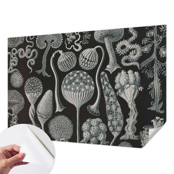 3D fotobehang met een motief van magische planten