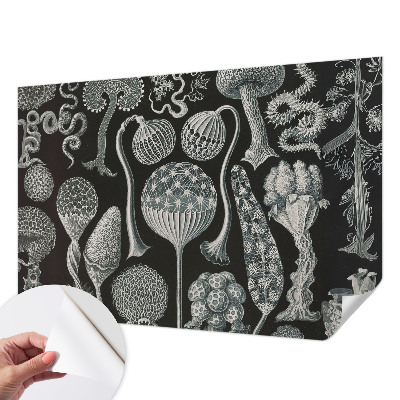 3D fotobehang met een motief van magische planten