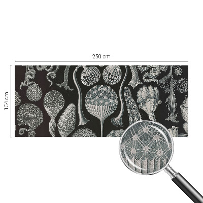 3D fotobehang Magische planten