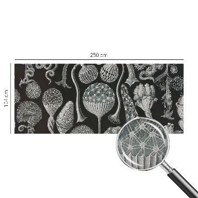 3D fotobehang met een motief van magische planten