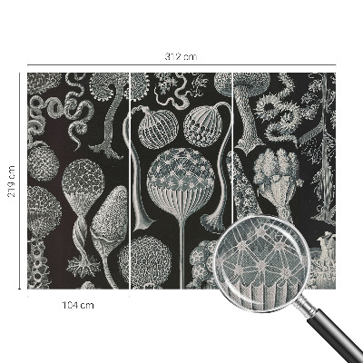 3D fotobehang met een motief van magische planten