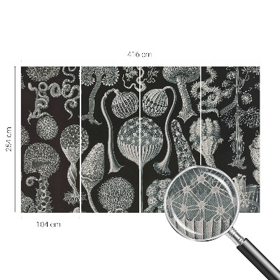 3D fotobehang met een motief van magische planten