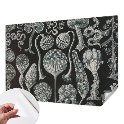 3D fotobehang met een motief van magische planten