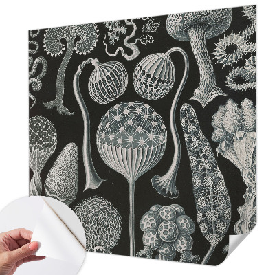 3D fotobehang met een motief van magische planten