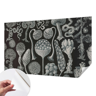 3D fotobehang met een motief van magische planten