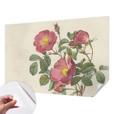 Foto behang voor de kinderkamer met een rozenmotief