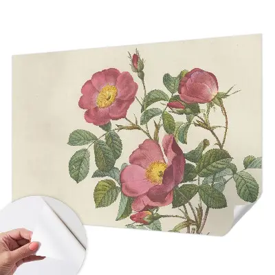 Foto behang voor de kinderkamer met een rozenmotief