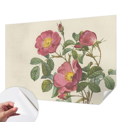 Foto behang voor de kinderkamer Rozenmotief